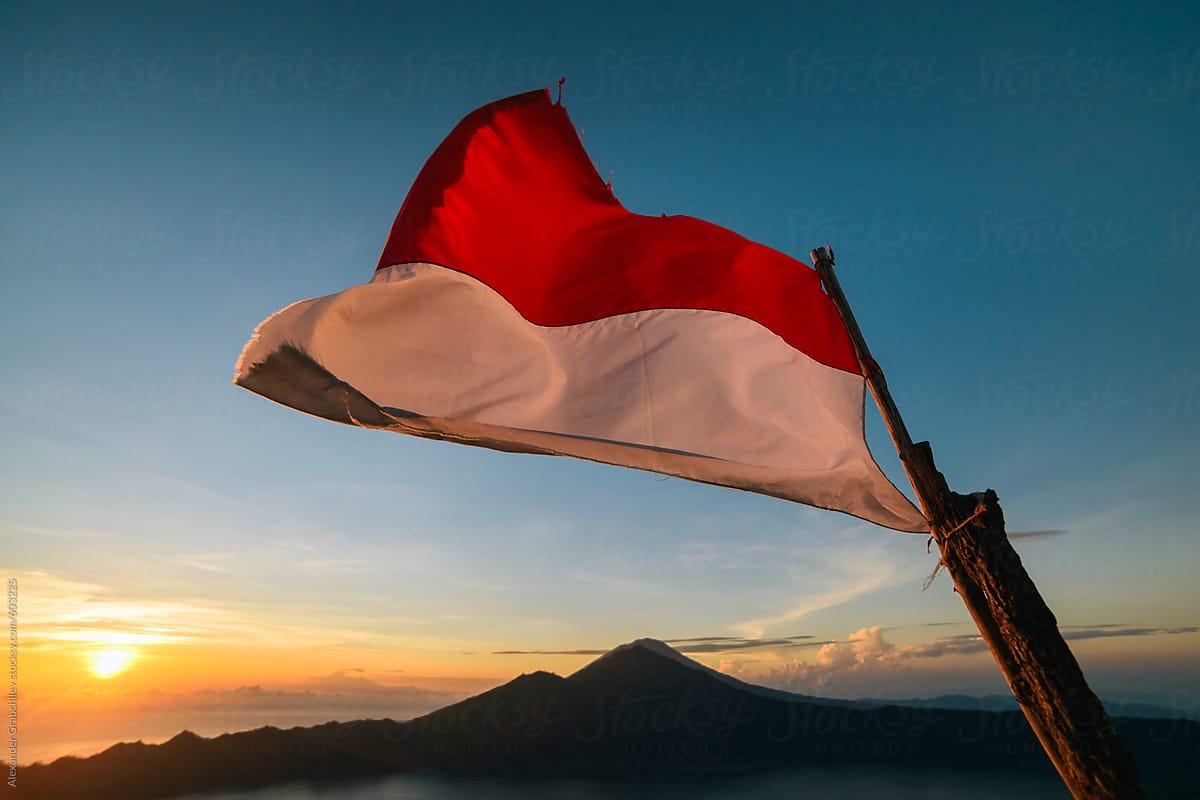 Индонезия хочет ускорить создание зоны свободной торговли с ЕАЭС