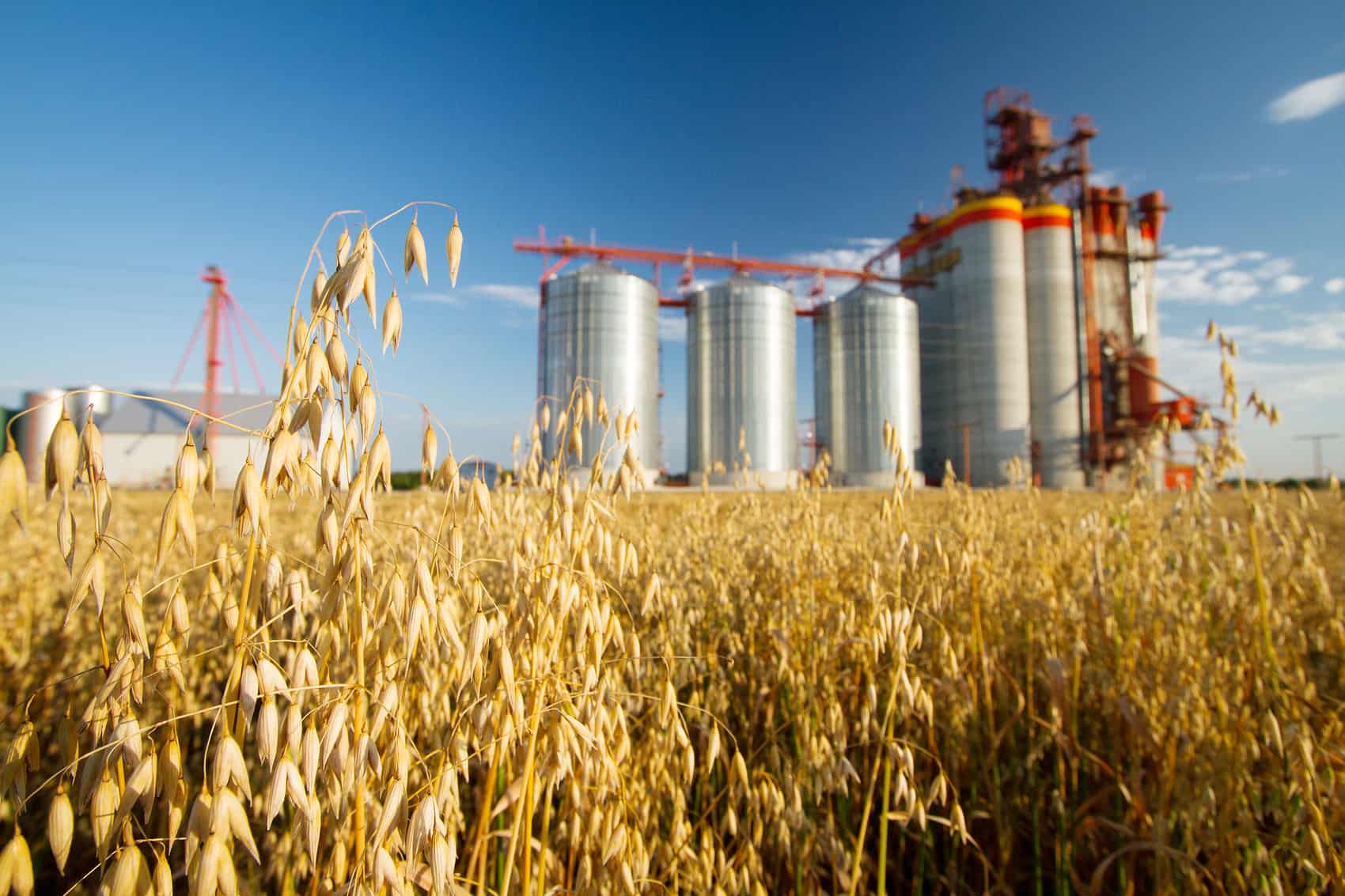 В ЕАЭС запустят новый проект по развитию агропромышленного комплекса