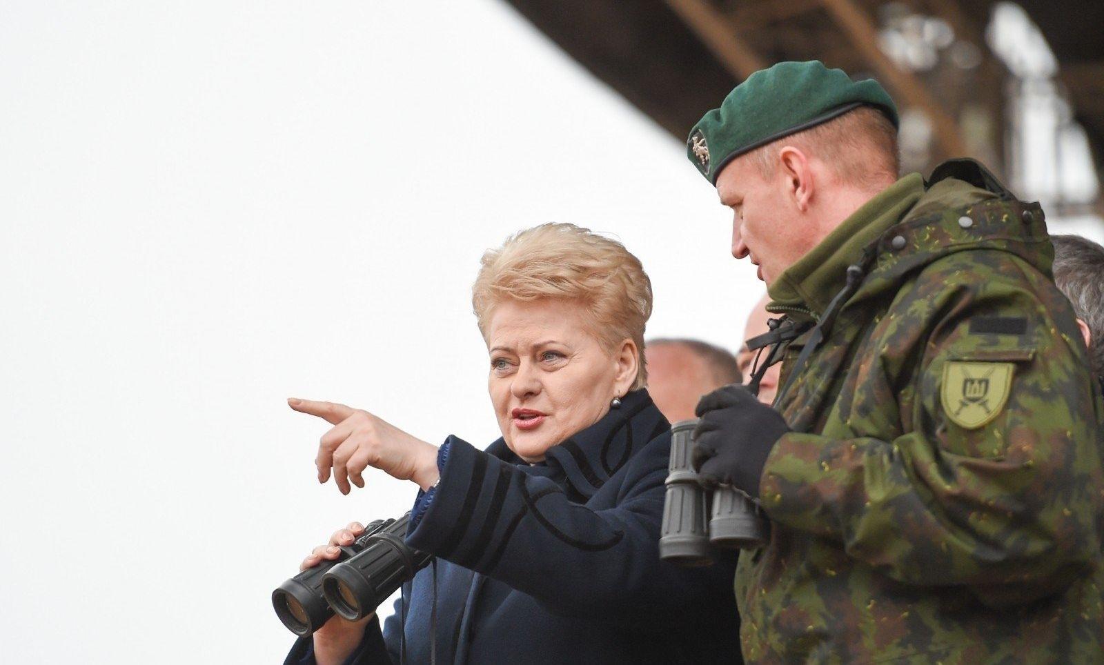 Президент Литвы хочет получить американские ЗРК Patriot