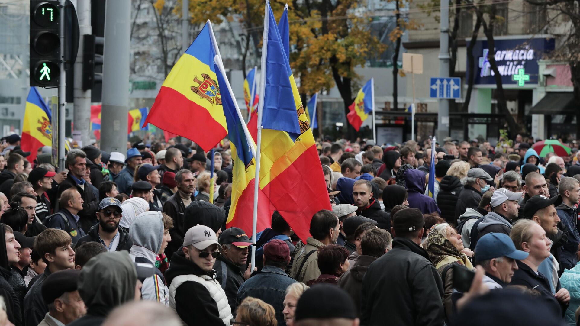 Большинство молдаван выступили против референдума о евроинтеграции одновременно с выборами президента – соцопрос