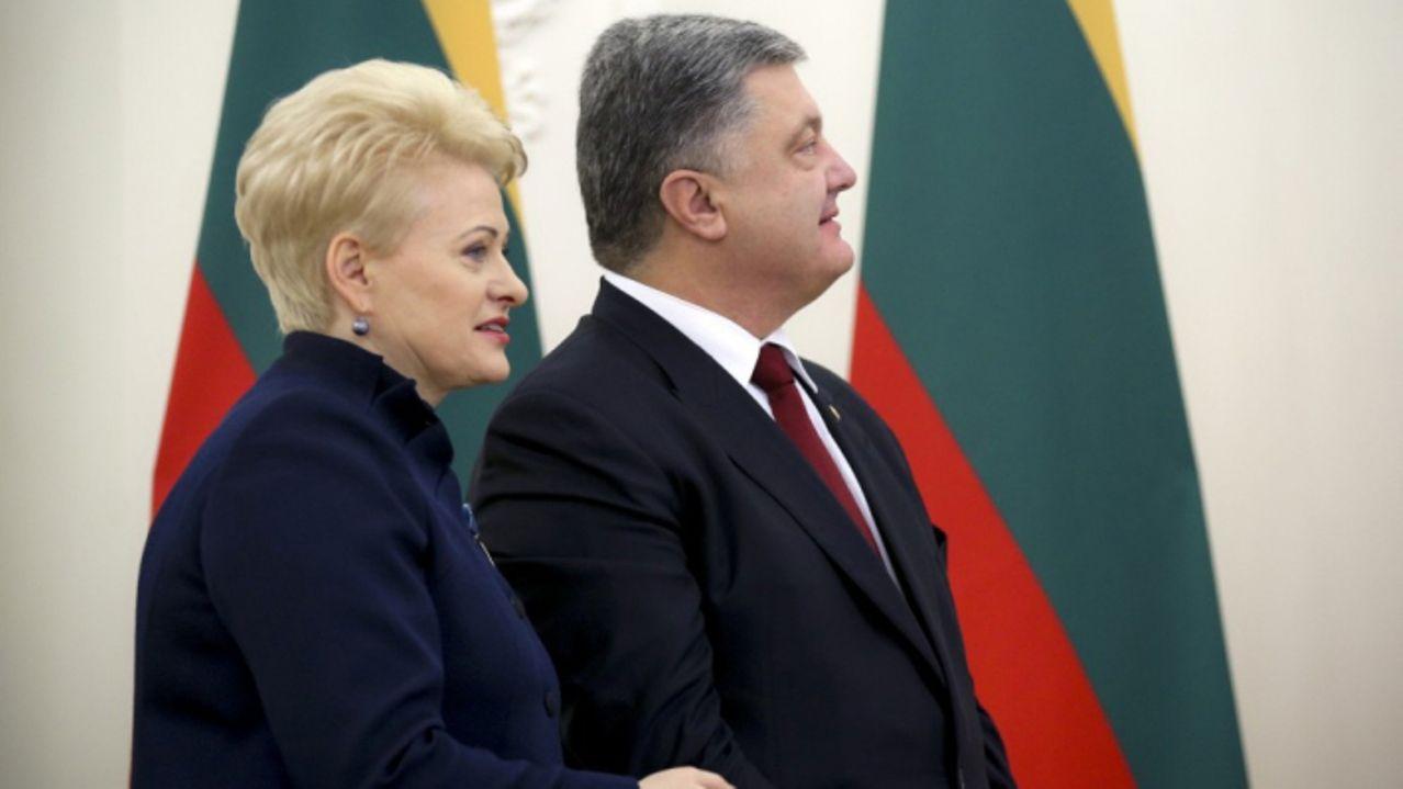 Литва планирует помочь Украине, но раскошелиться придется Евросоюзу