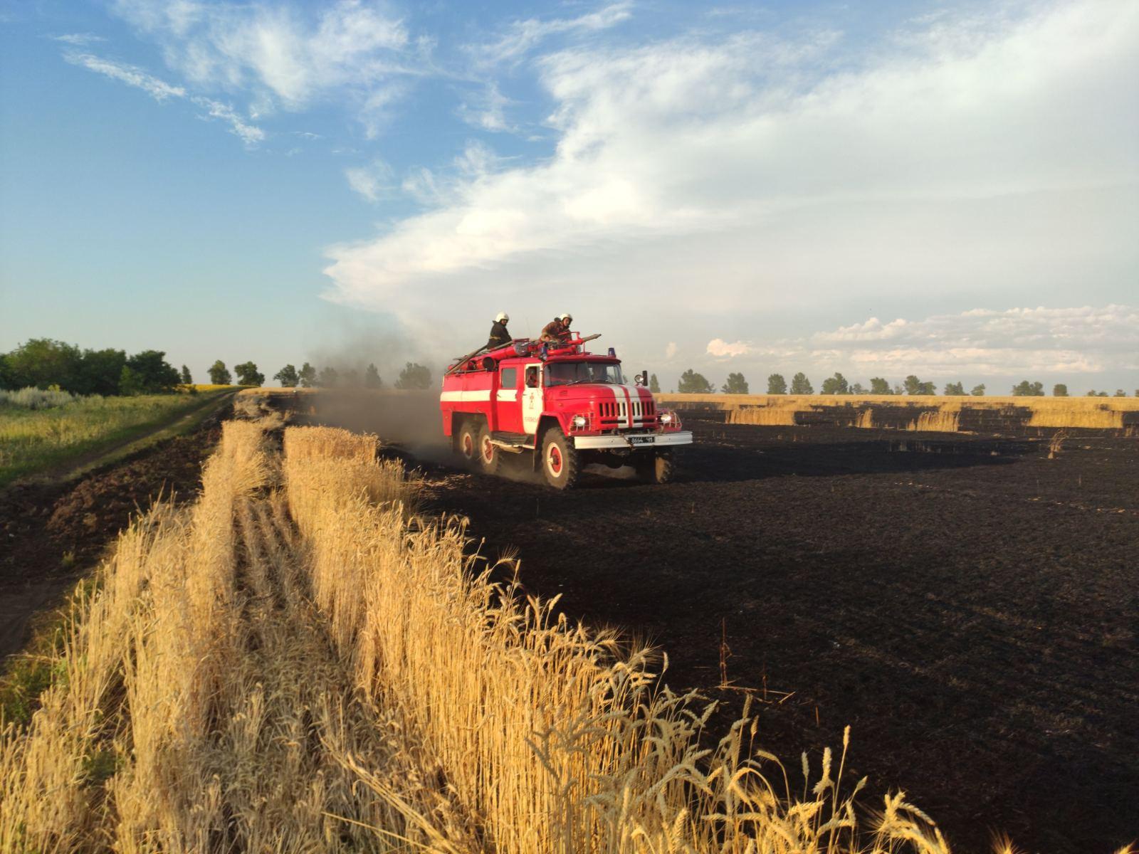 ВСУ начали поджигать пшеничные посевы в Херсонской области