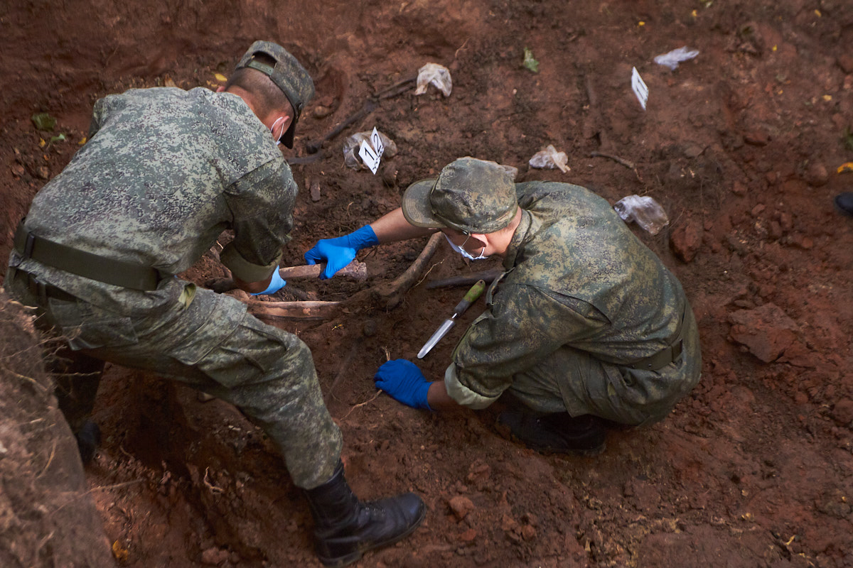 В Беларуси обнаружили новые захоронения жертв нацистов