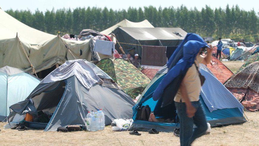 3,5 тысячи скопившихся на границе России и Казахстана мигрантов вывезут на родину