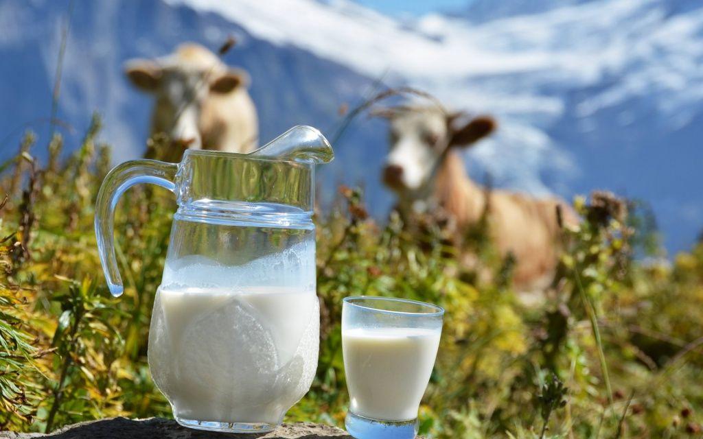 Россельхознадзор не введет запрет на поставки белорусской молочной продукции
