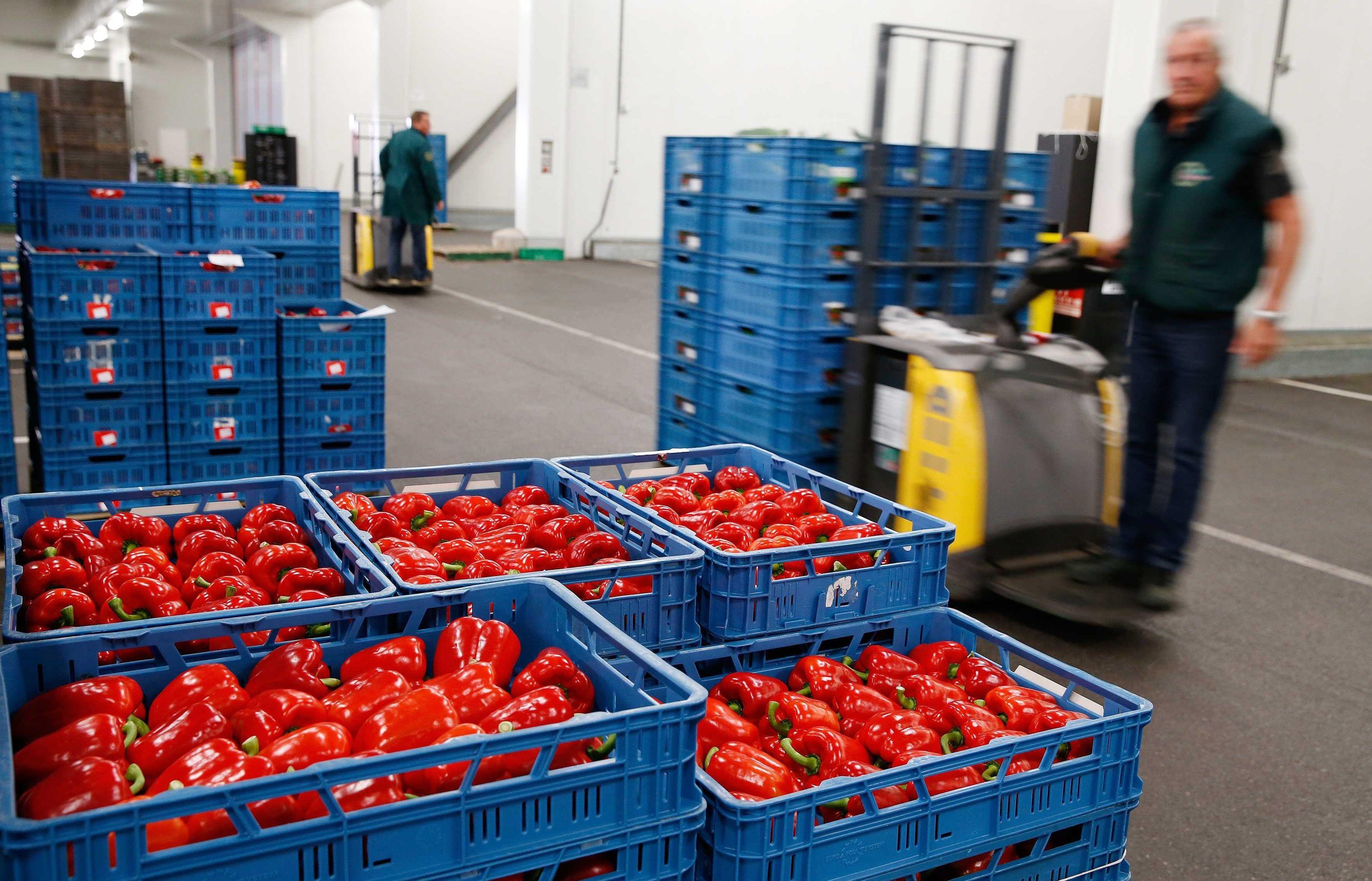 ЕАЭС перестанет импортировать овощи
