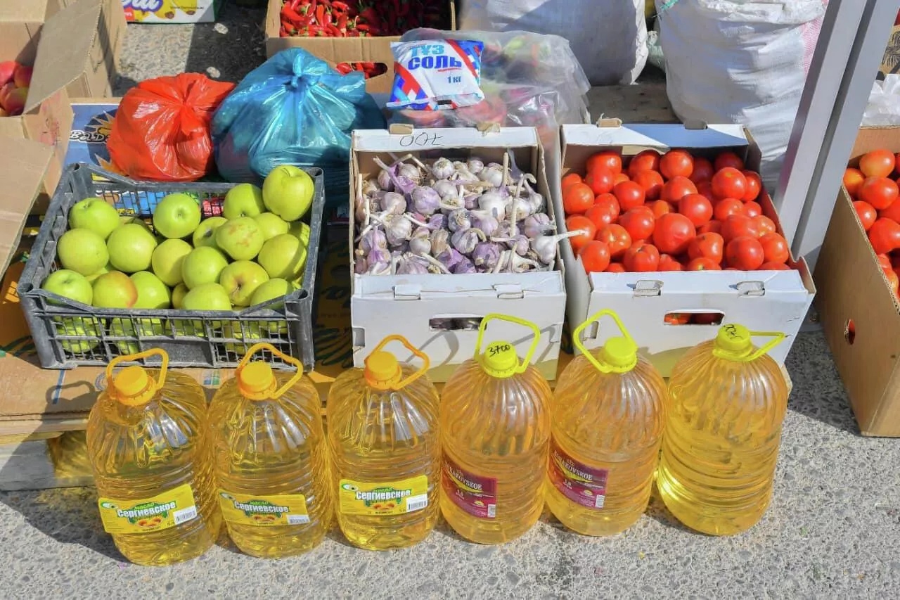 ЕАЭС мог бы накормить 600 млн человек, но поставкам продовольствия мешают санкции – Токаев