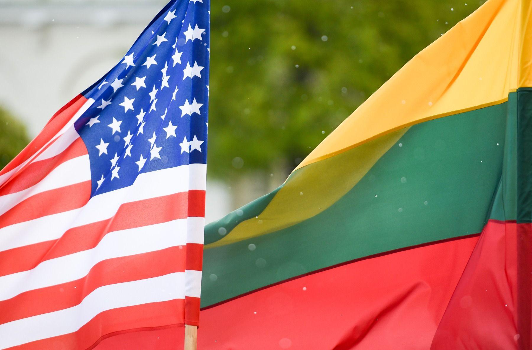 США помогут Литве перекрыть поставки электроэнергии с БелАЭС