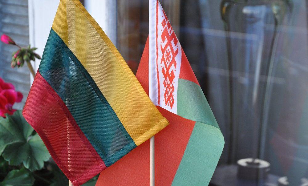 В Совфеде прокомментировали планы Литвы поддержать Беларусь «в борьбе за независимость»