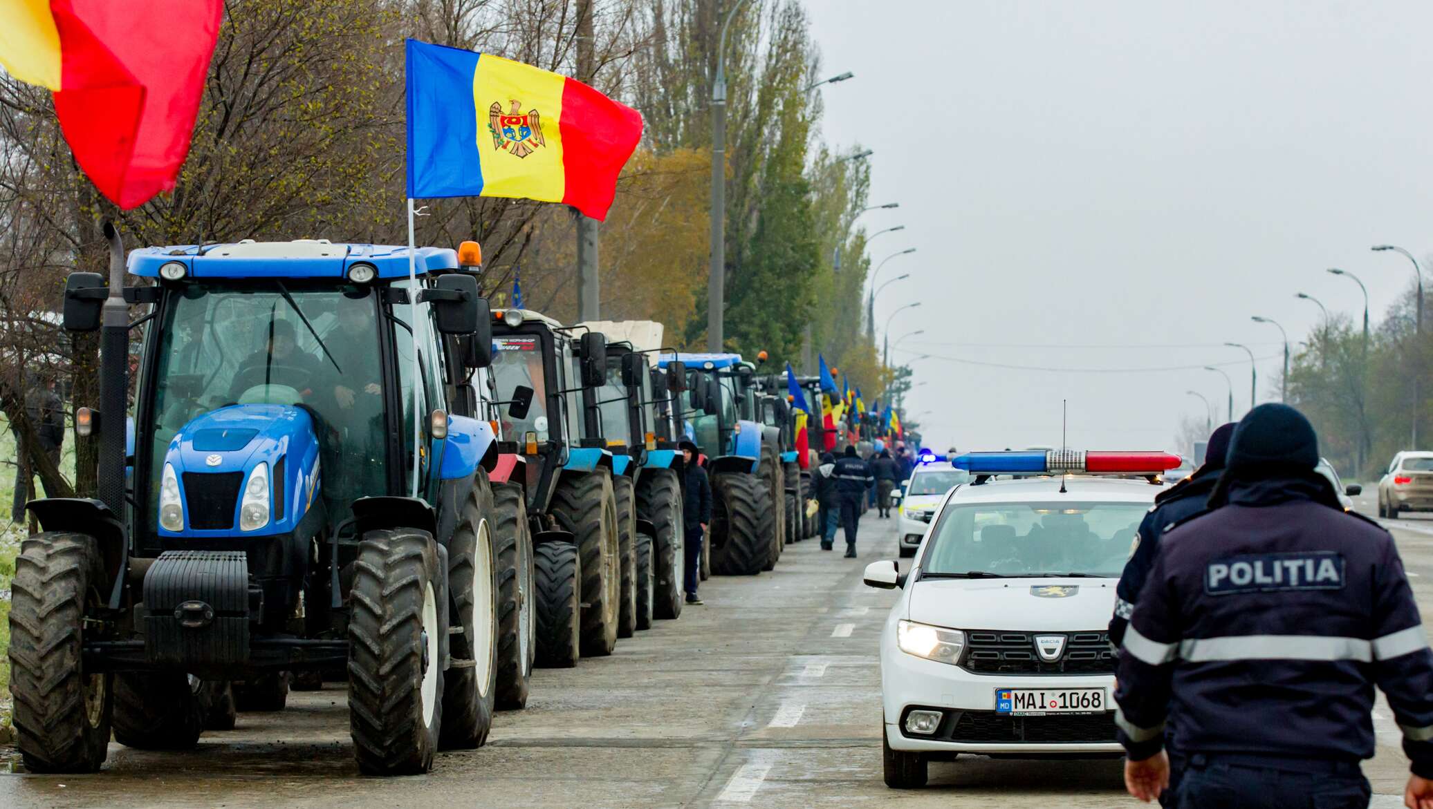 Политика Кишинева грозит молдавскому сельскому хозяйству банкротством – молдавский эксперт