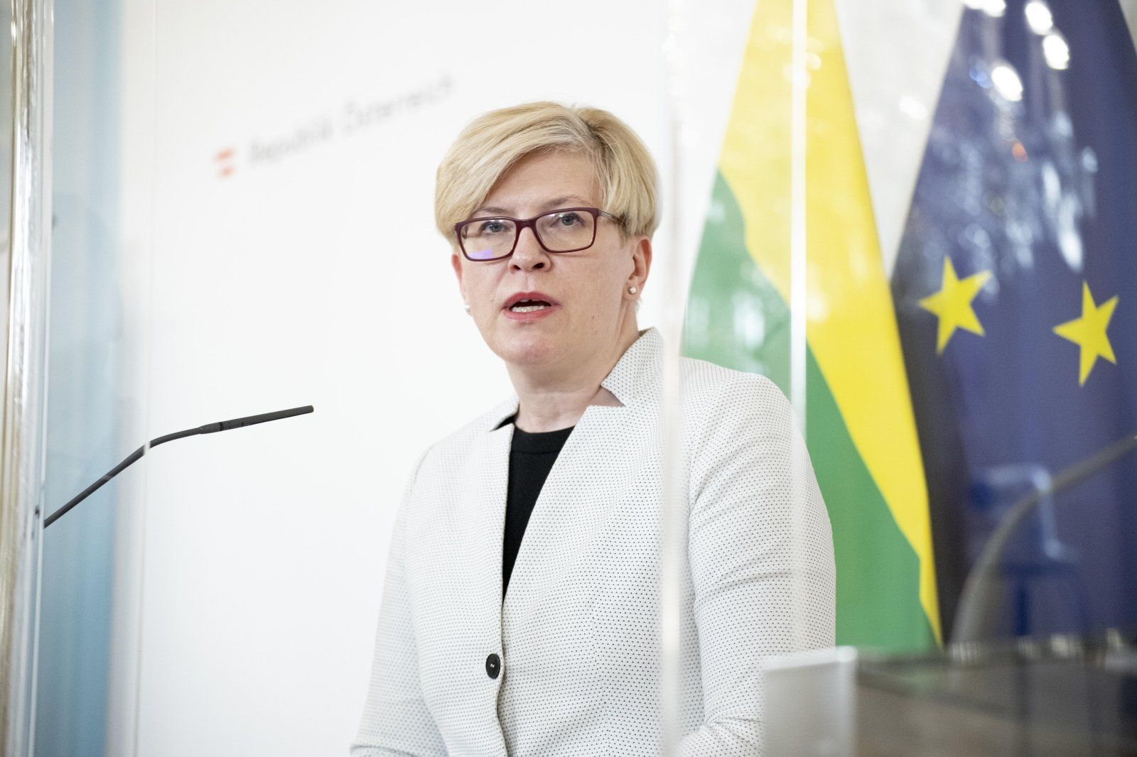 Премьер Литвы допустила отставку всего правительства