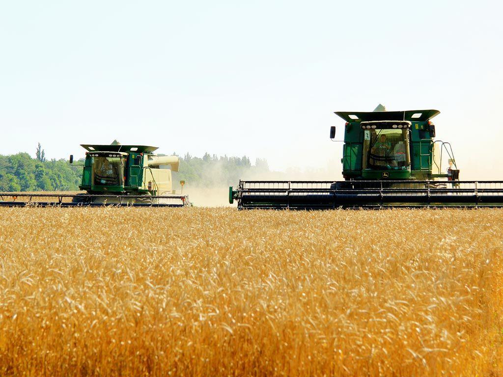 Россия стала ведущим экспортером пшеницы в мире