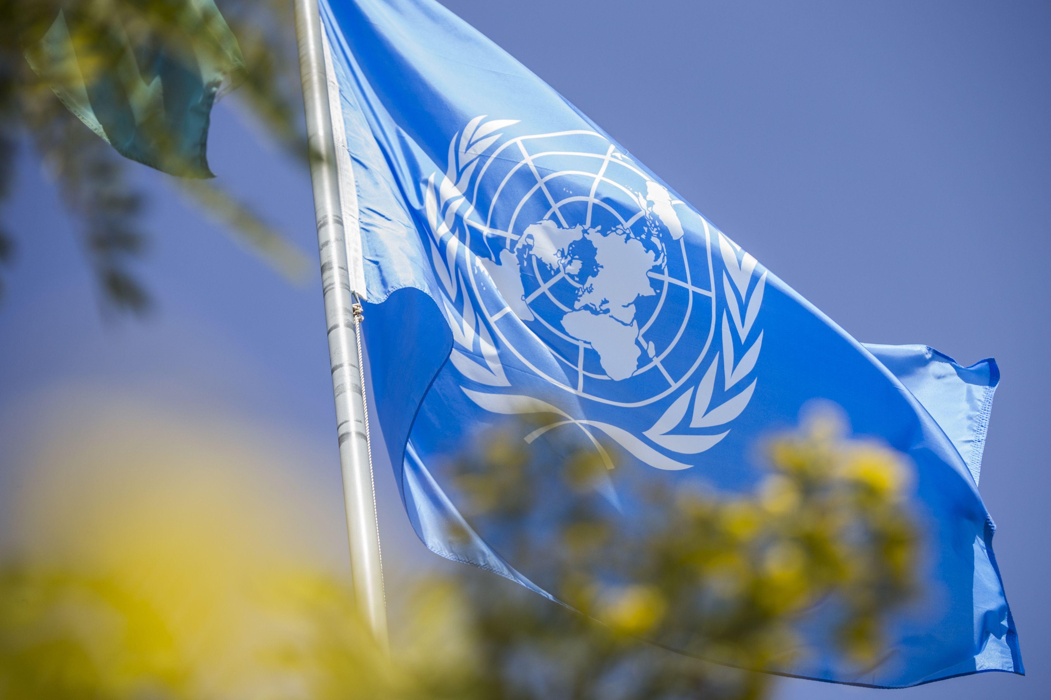 Бесконтрольное применение санкций угрожает системе международных отношений – спецдокладчик ООН