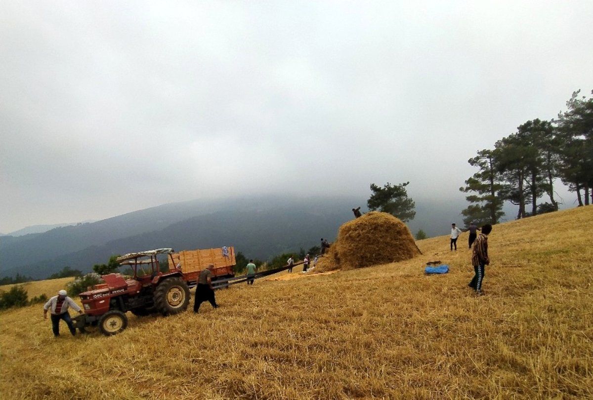 Россия поможет армянским фермерам в модернизации сельхозтехники