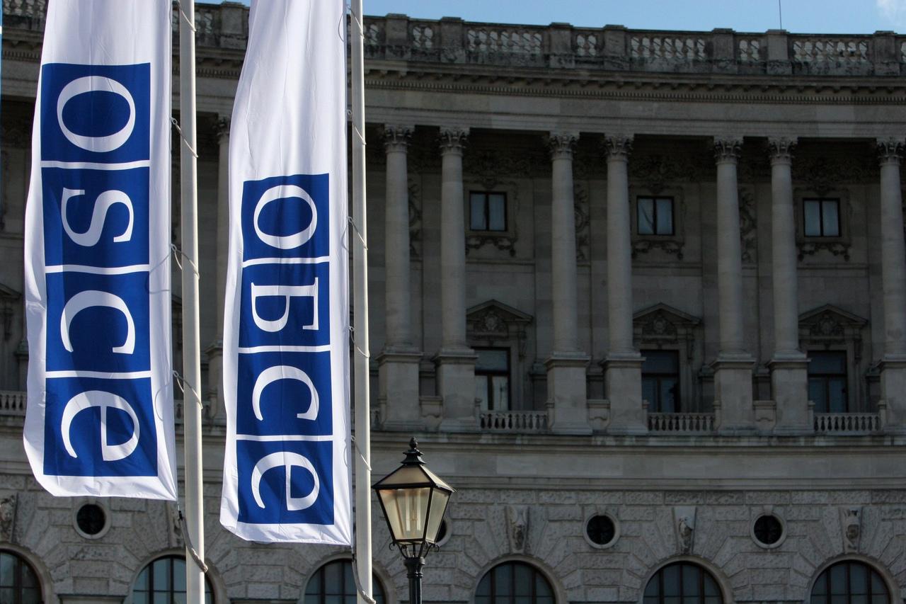 В ОБСЕ раскритиковали президентские выборы в Казахстане 