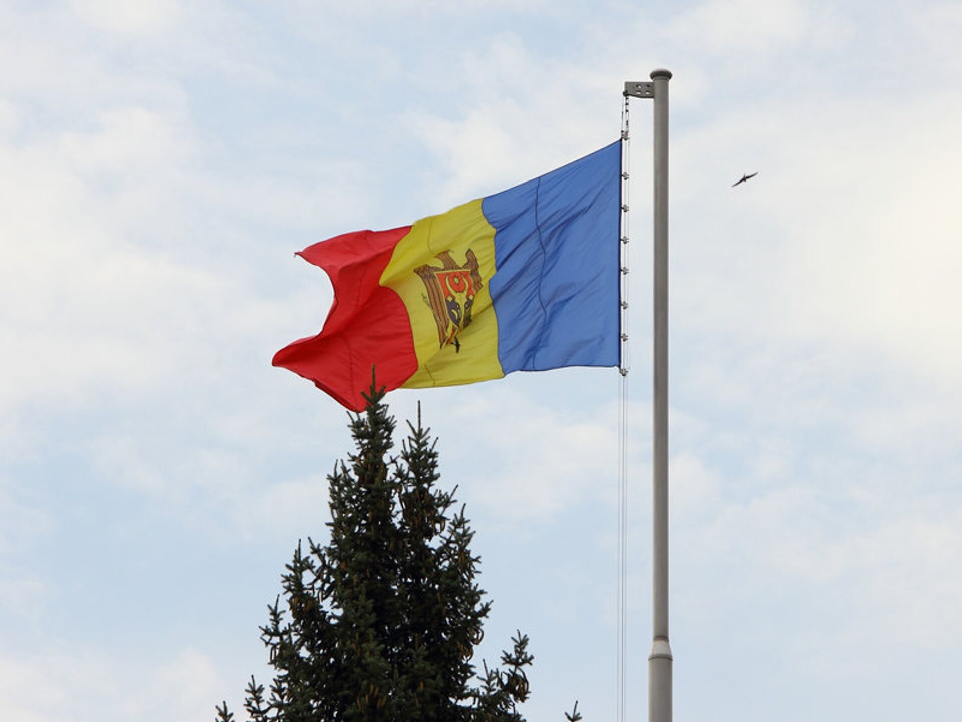 Западные правозащитники назвали расширение понятия «госизмена» в Молдове борьбой с инакомыслием