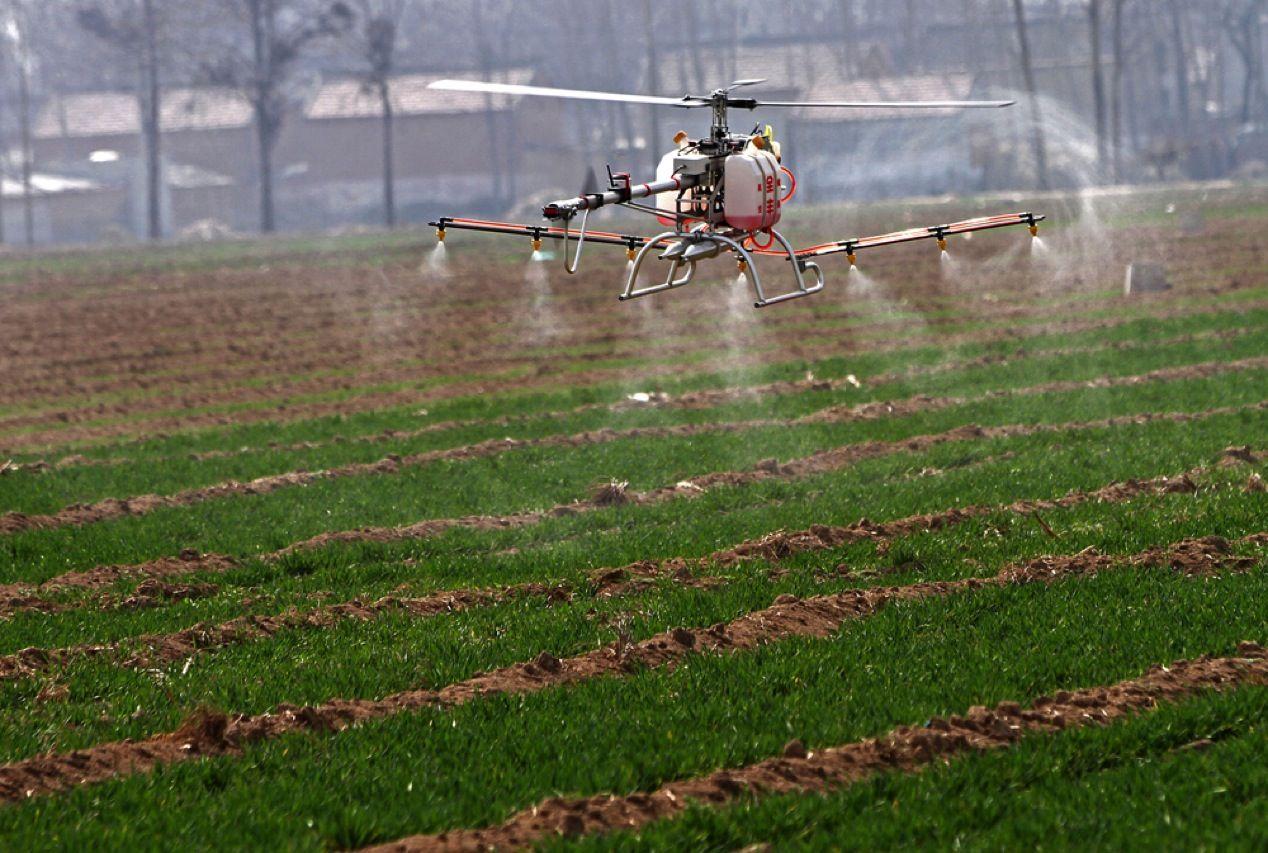 Израильские агротехнологии выйдут на рынок ЕАЭС