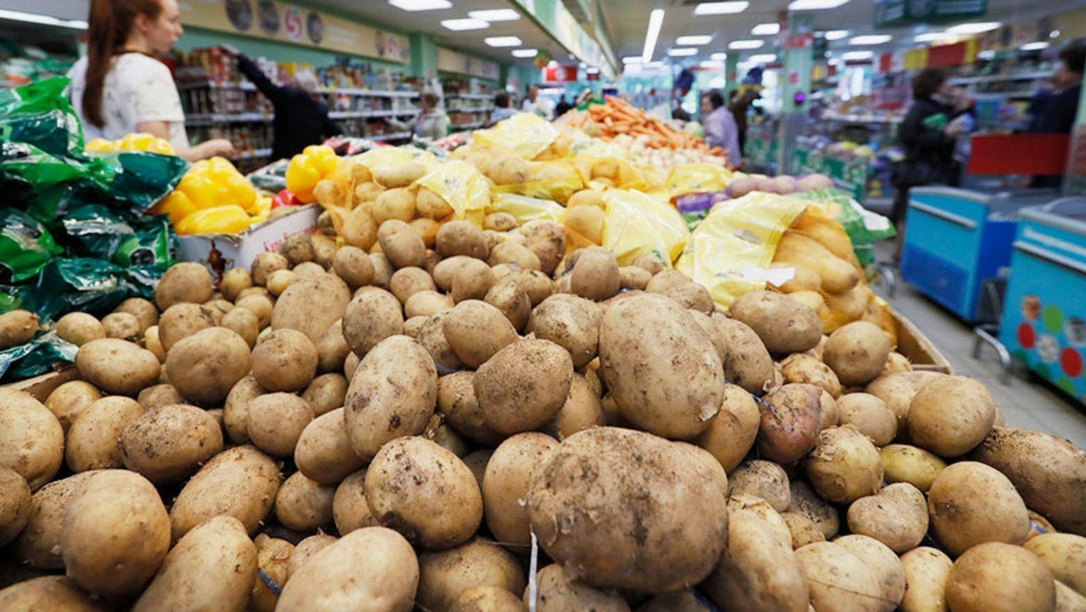 Россия увеличит закупки белорусского картофеля