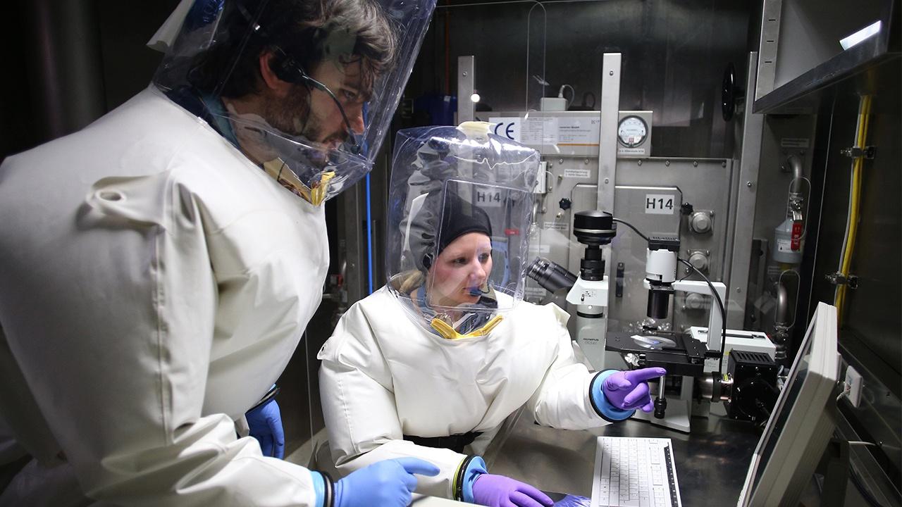 США используют лаборатории у границ России для разработки биологического оружия – эксперт