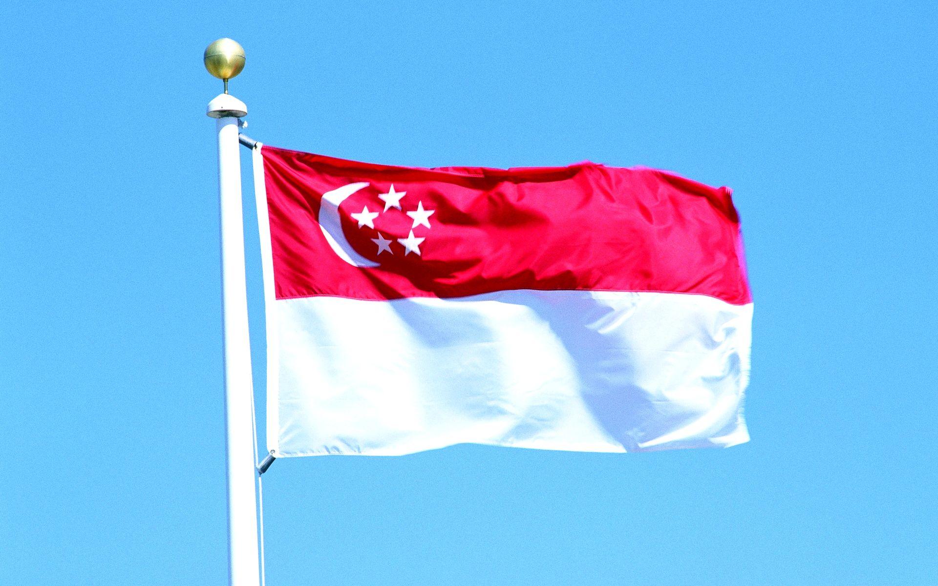 ЕАЭС и Сингапур договорились по вопросам таможенной и тарифной политики