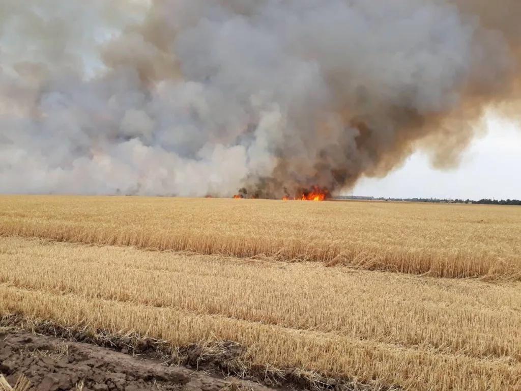 ВСУ уничтожают урожай в Запорожской области