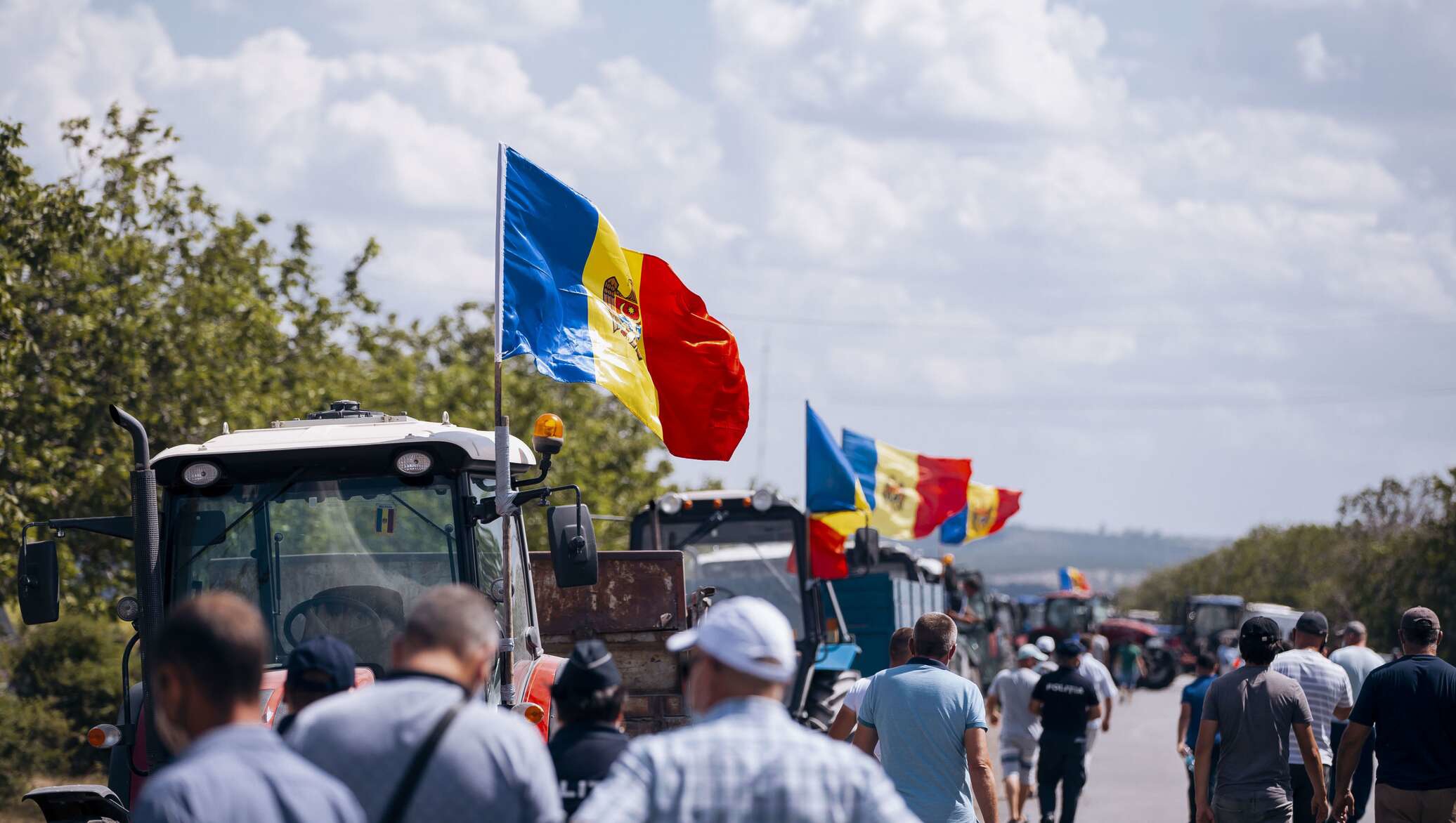 Аграрии Молдовы заявили, что власти намеренно уничтожают фермерские хозяйства