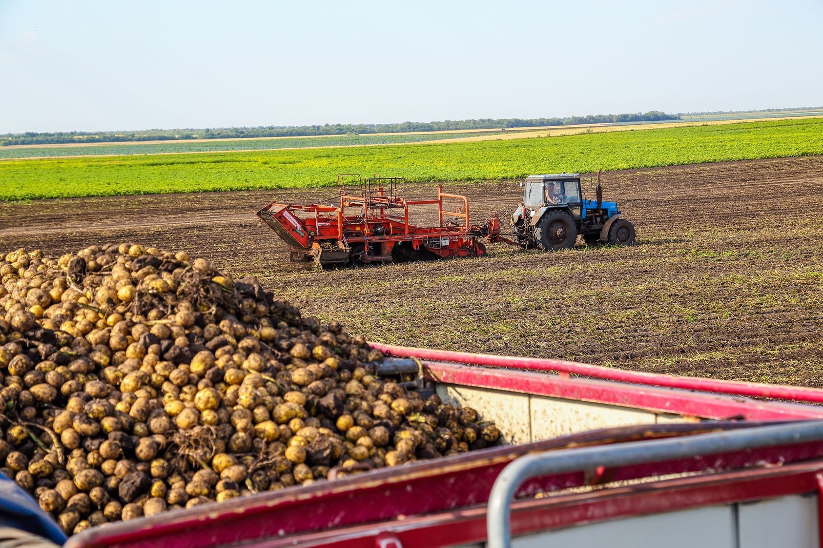 Белорусский агропром: выгоды от ЕАЭС и новая экспортная стратегия