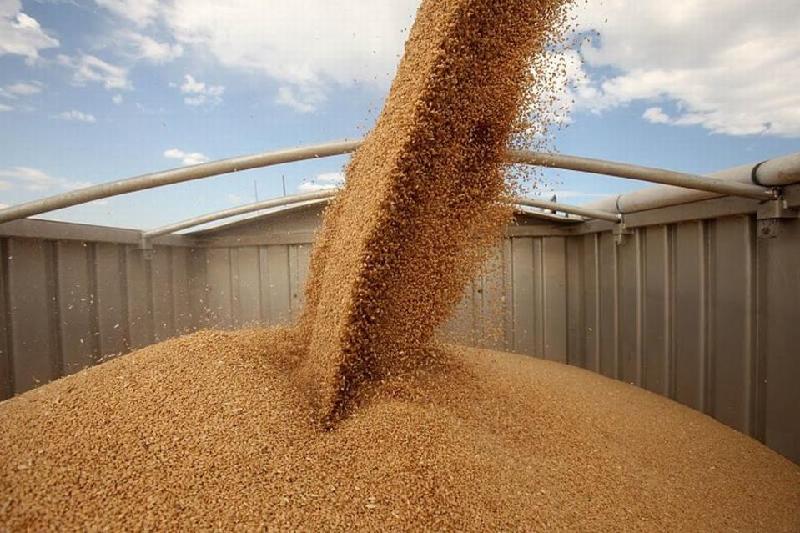 РЖД сделали скидку 45% на транзит зерна из Казахстана в Азербайджан