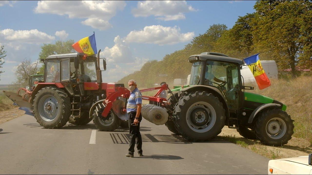 В Молдове под патронажем западных кураторов уничтожены целые сектора экономики – молдавский экономист