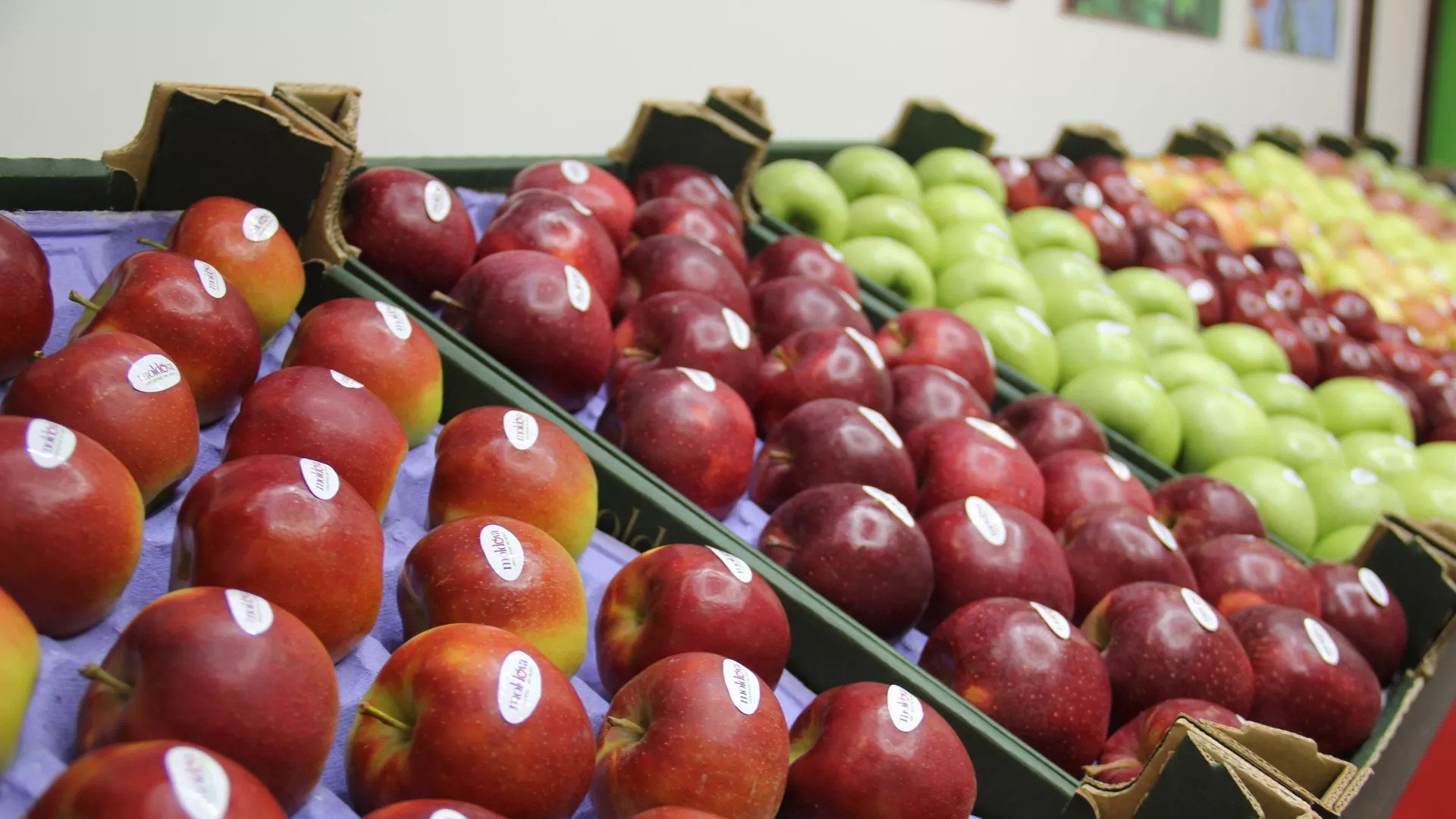 Россия ввела запрет на поставки некоторых овощей и фруктов из Молдовы