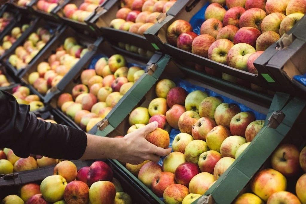 В правительстве Беларуси объяснили, почему отечественные яблоки дороже польских