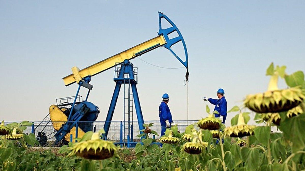 «Призрачные месторождения». Что мешает развитию нефтедобычи на Украине