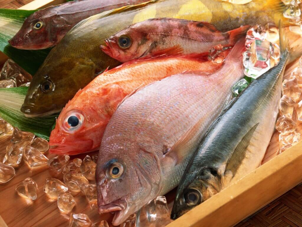 Безопасность рыбной продукции в ЕАЭС возьмут под контроль