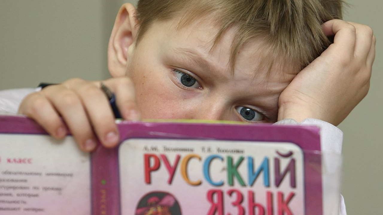 Додон призвал вернуть обязательный русский язык в молдавские школы