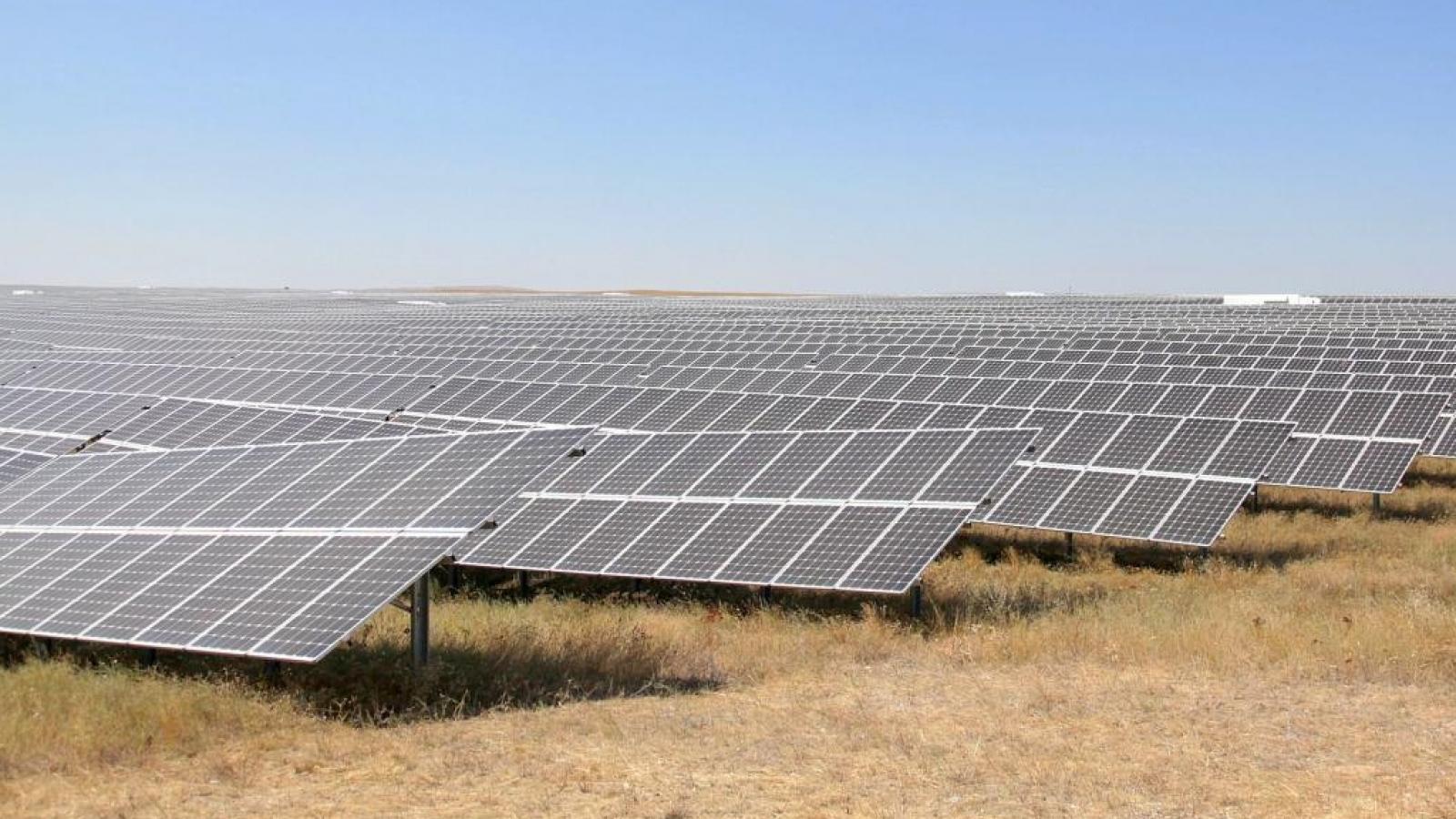 В Казахстане запустят новую солнечную электростанцию