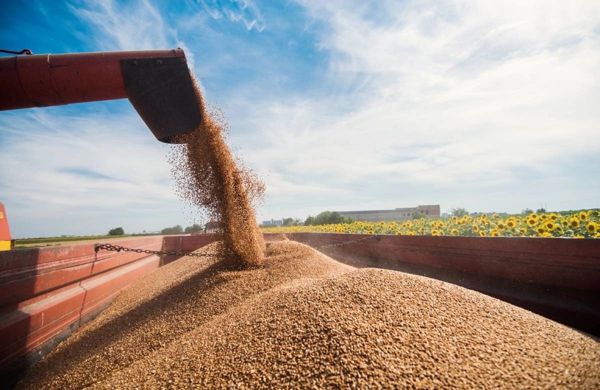 Ингушетия хочет нарастить производство зерна, используя белорусский опыт
