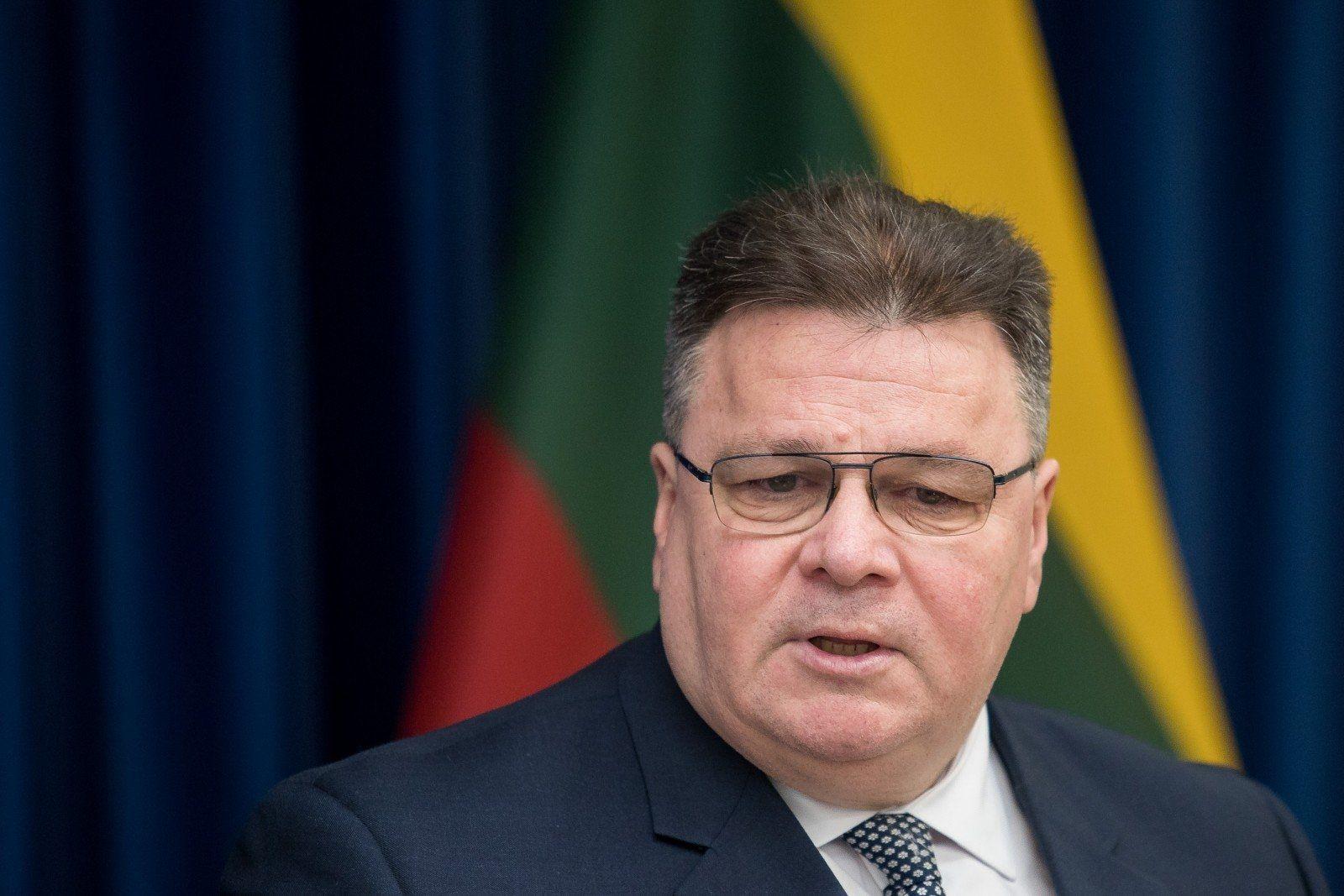 МИД Литвы раскритиковал план слияния экономик Беларуси и России