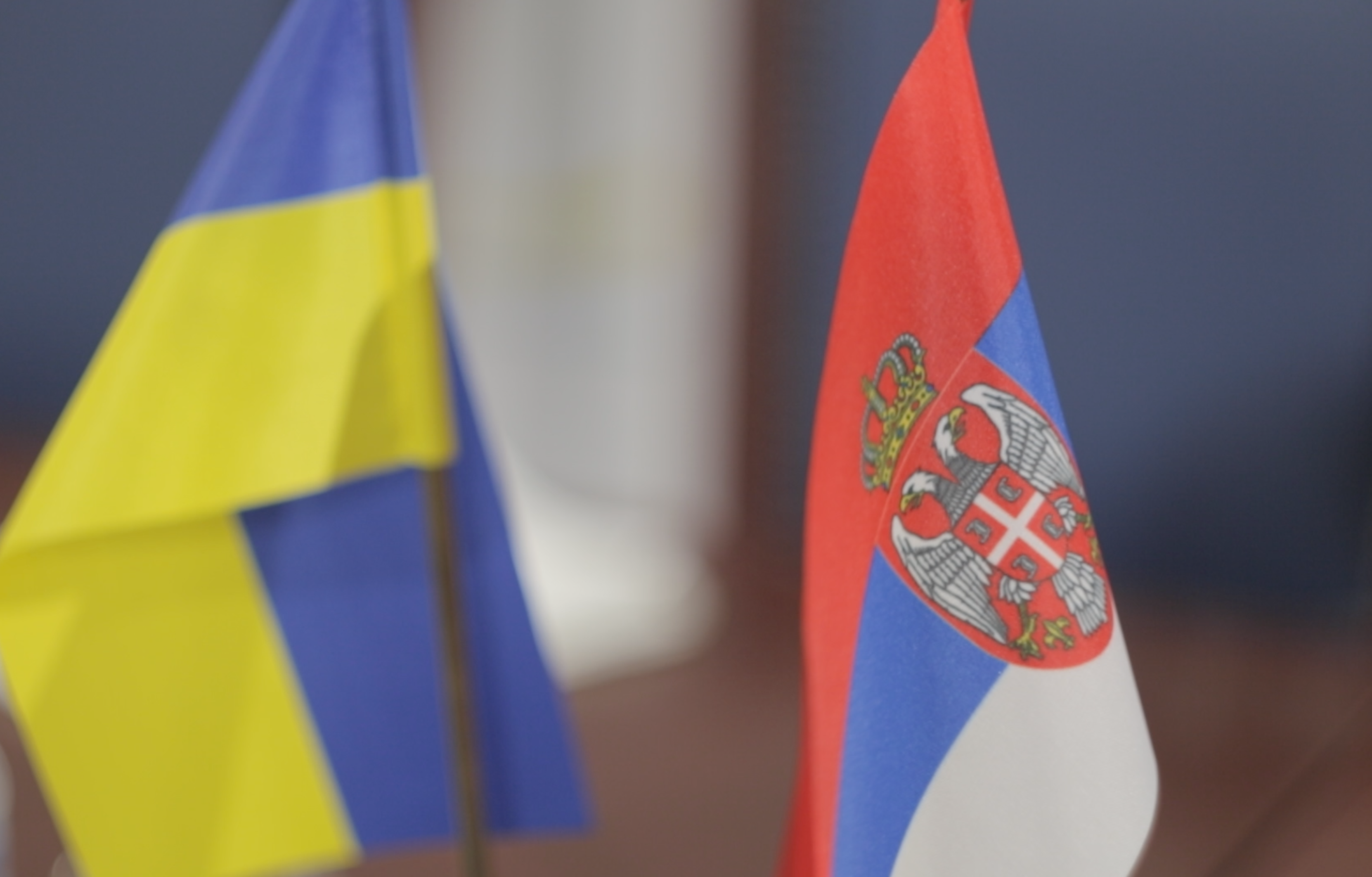 МИД Сербии: Украина пытается поссорить нас с Россией