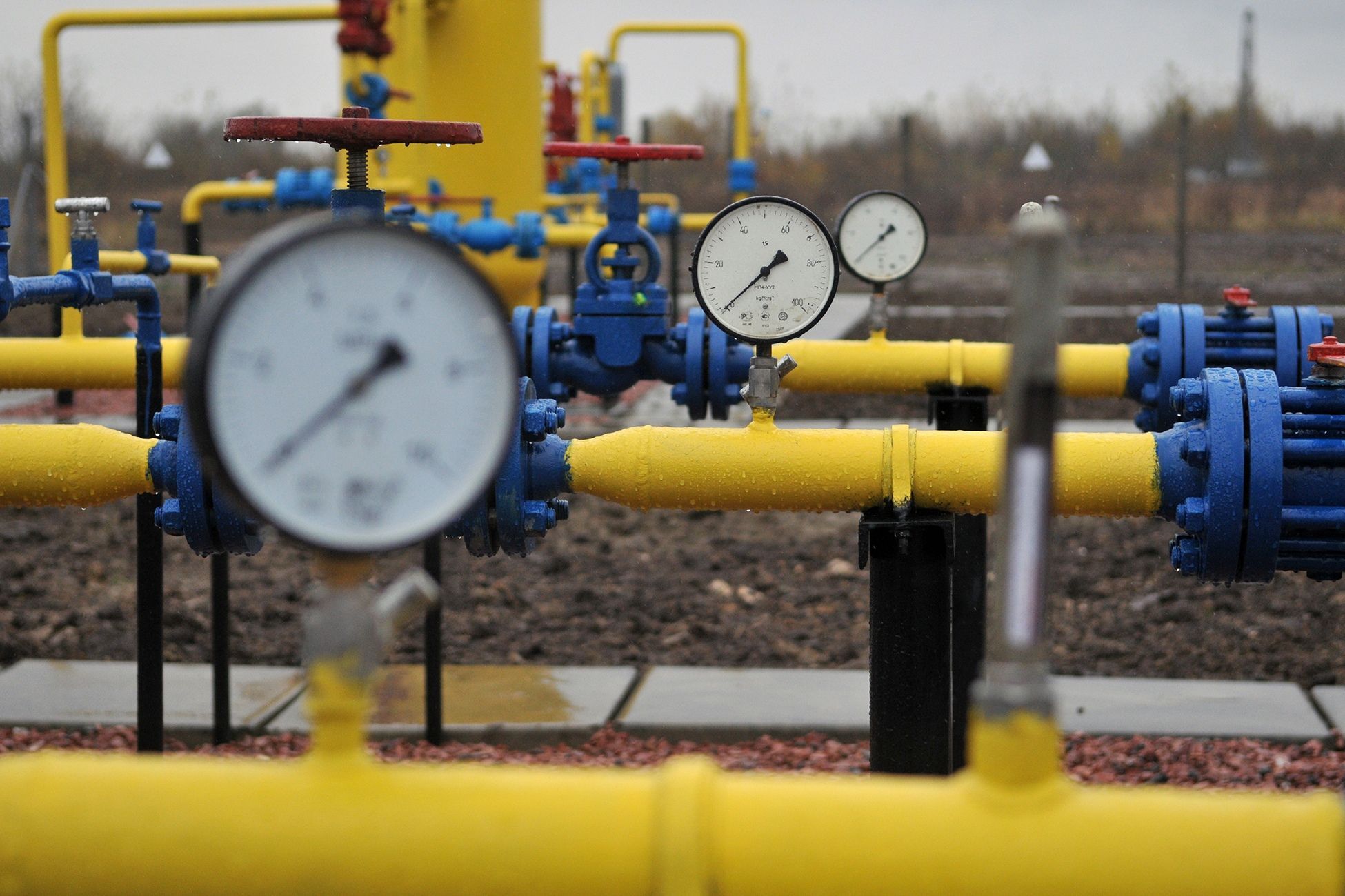 В правительстве Молдовы оценили возможность вернуть долг «Газпрому»