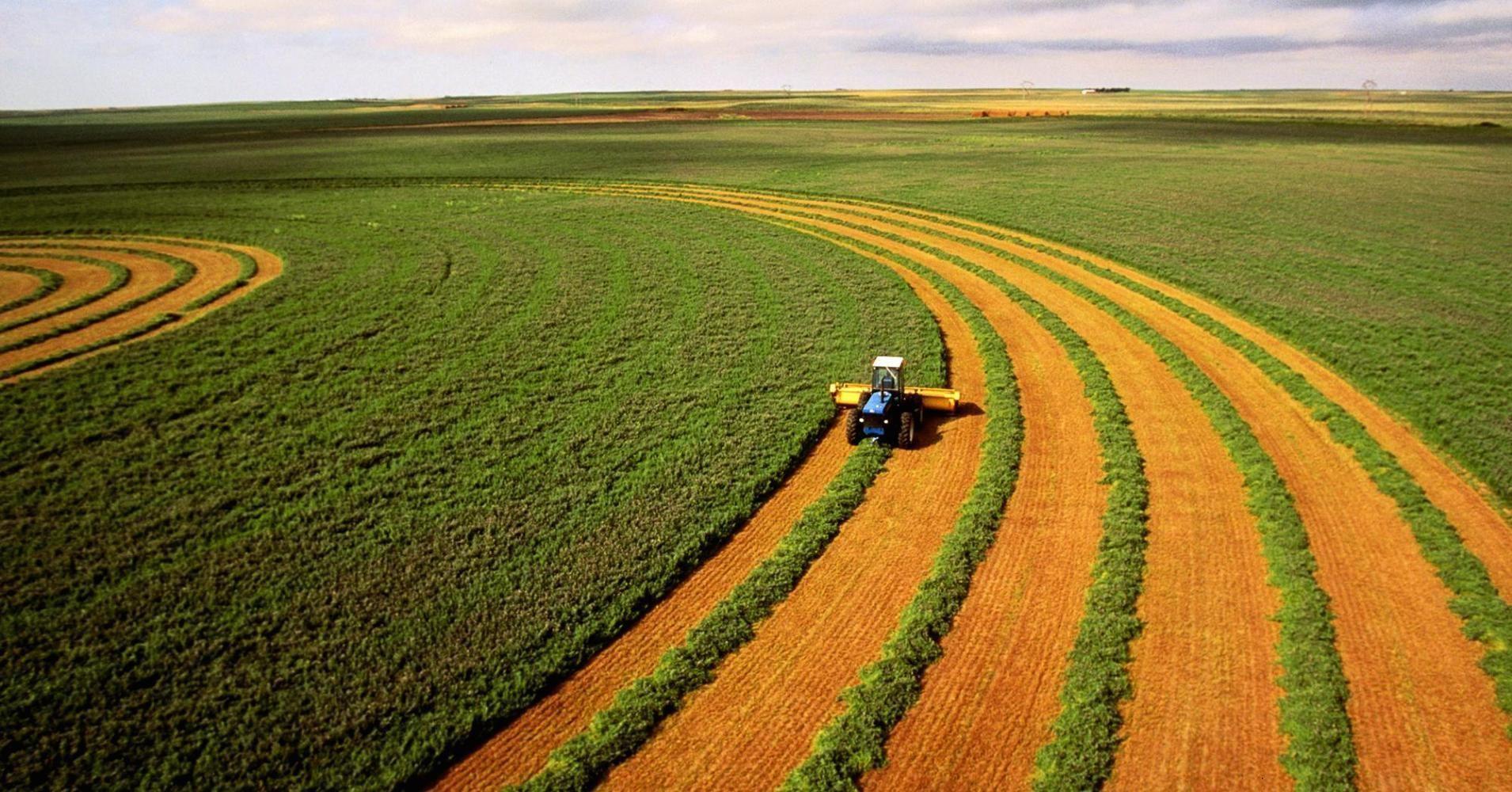 «Удар по сельскому хозяйству»: почему украинцы протестуют против земельной реформы