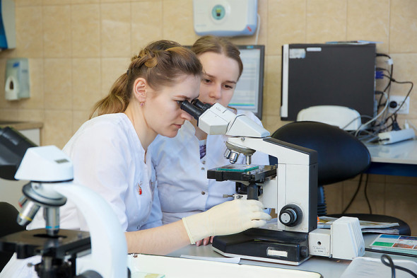 Беларусь и Санкт-Петербург подписали план поддержки совместных научных проектов