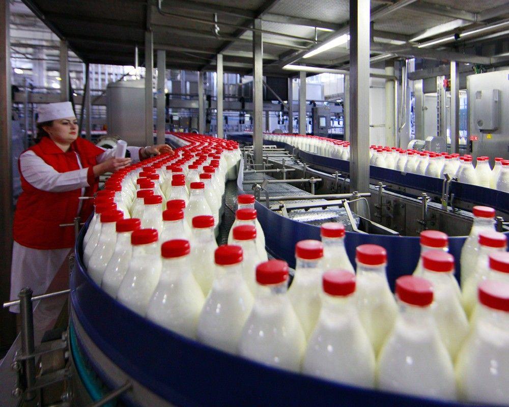 Россельхознадзор раскрыл, как нелегальная «молочка» из Беларуси попадает в Россию
