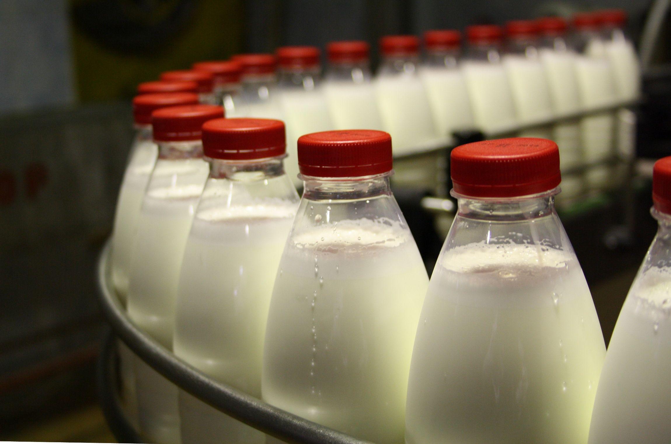Минск и Москва приблизились к созданию совместной компании для поставок молока