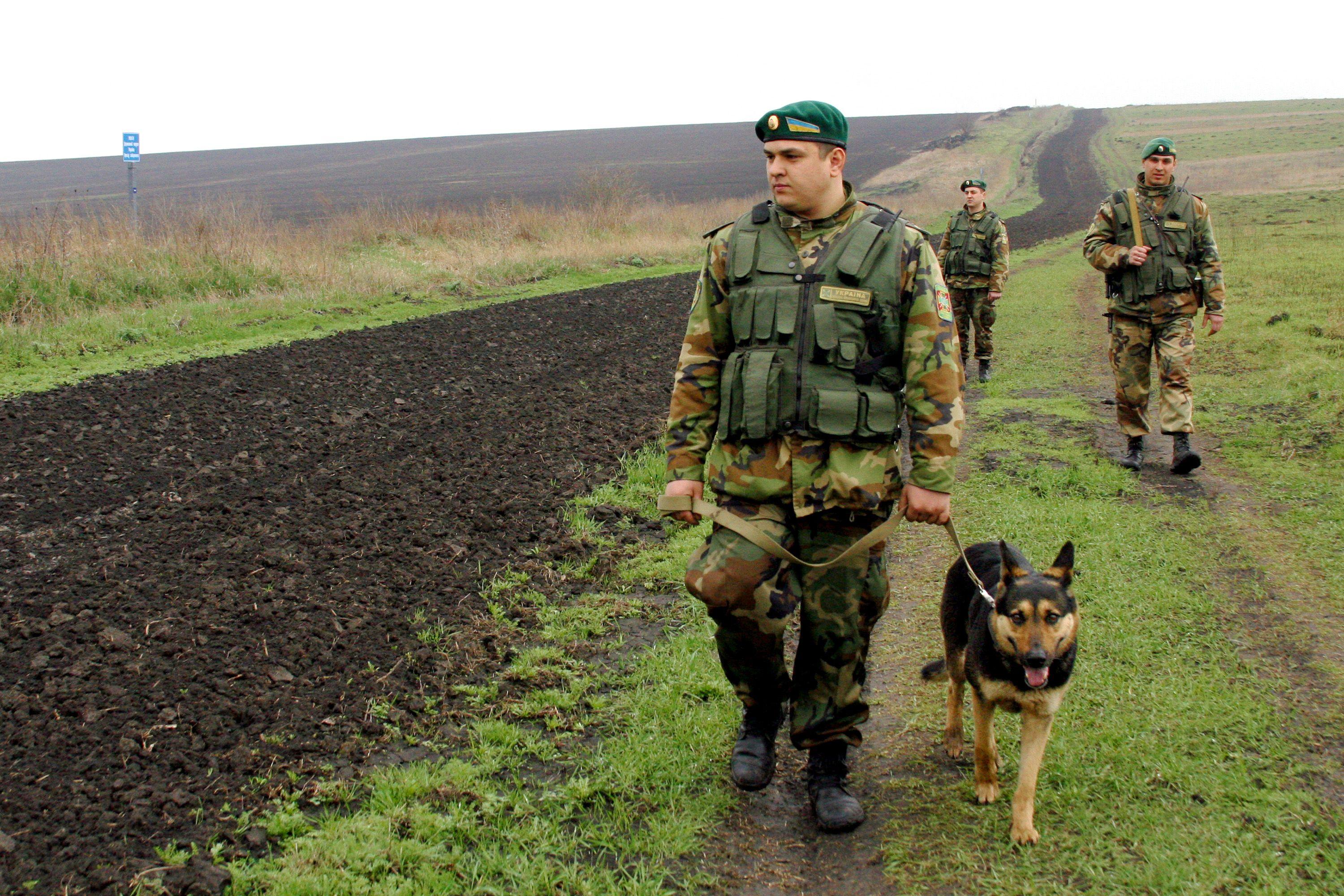 Наблюдателей ОБСЕ на Украине атаковали пограничные собаки