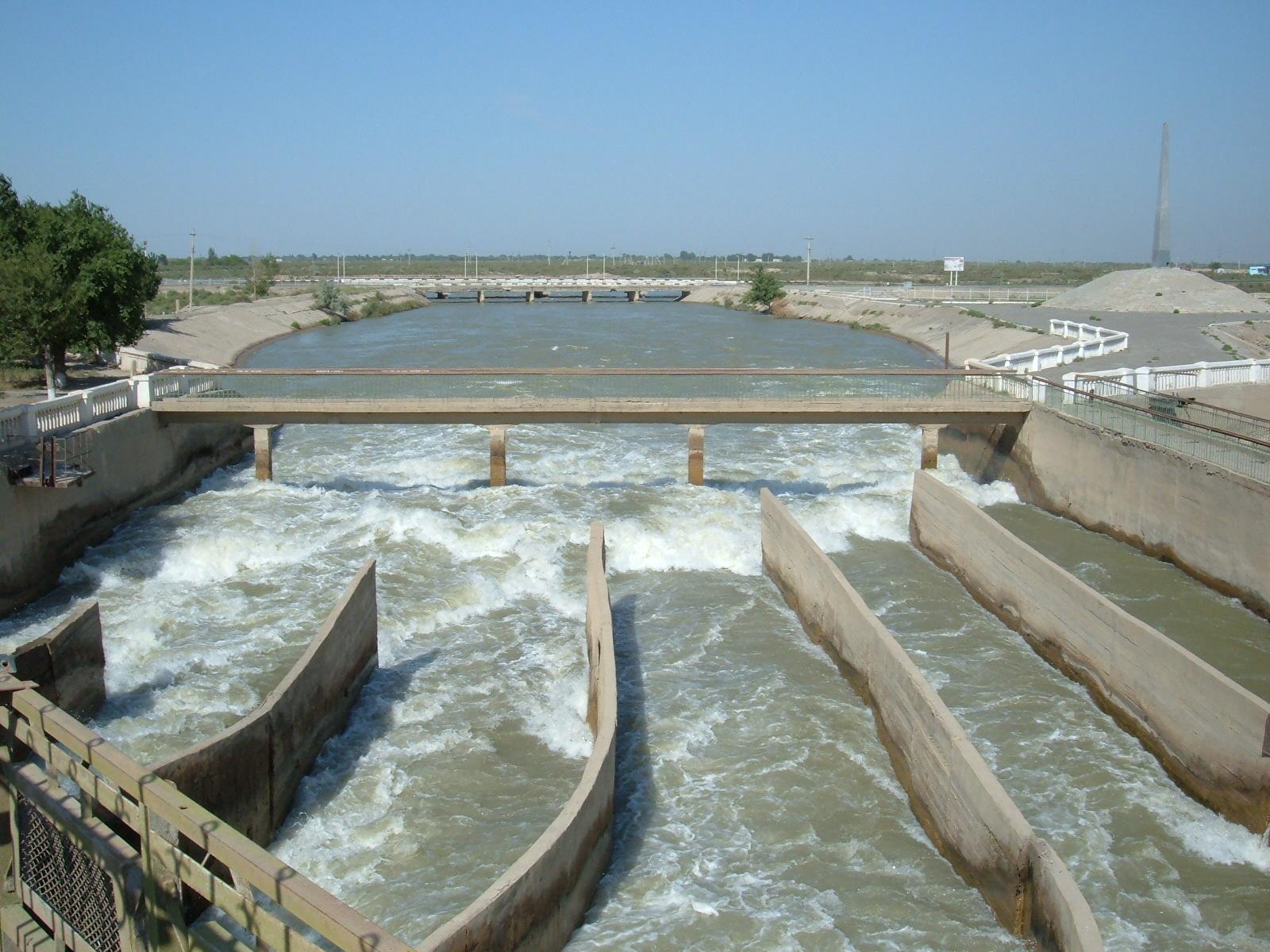 Узбекистан поможет водой казахстанским фермерам