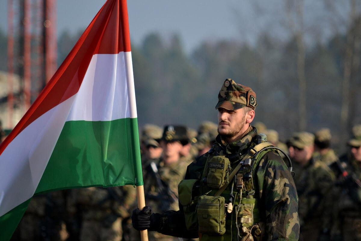 В МИД Венгрии сообщили о планах «защитить» венгров на Украине