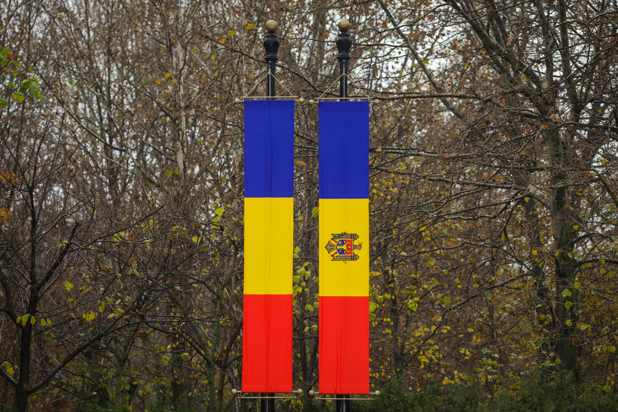 Назначение иностранцев на госдолжности в Молдове угрожает суверенитету страны – молдавский эксперт