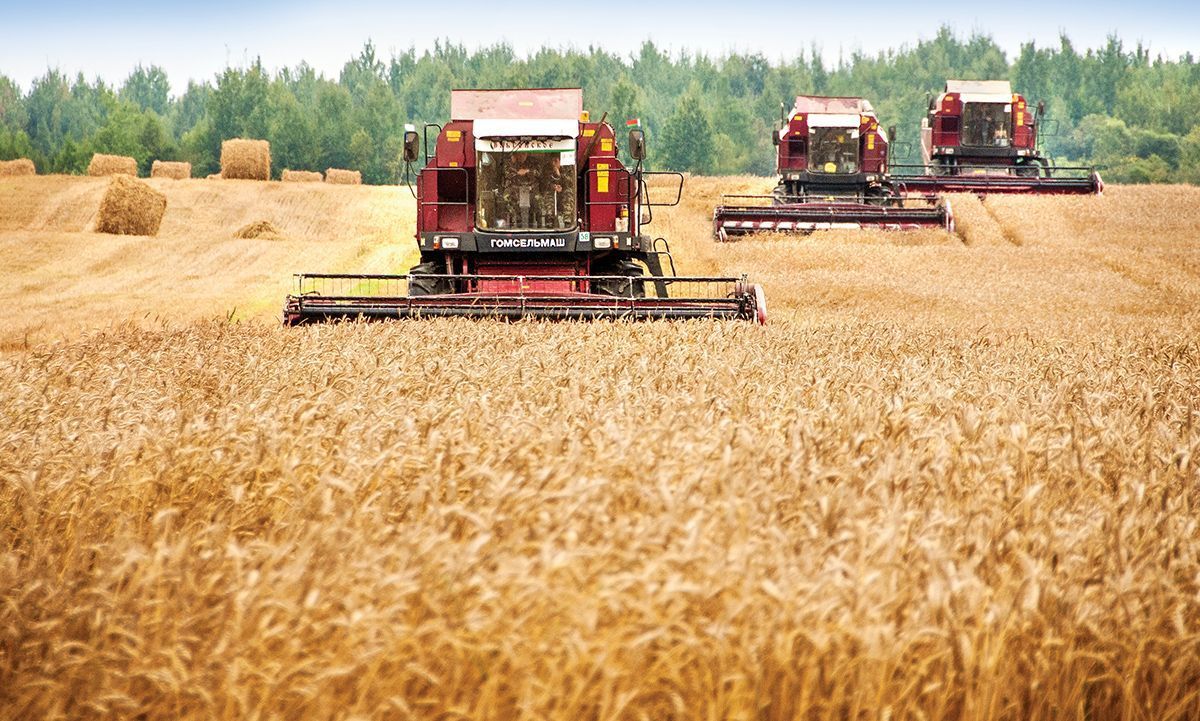 В правительстве Беларуси оценили выгоды интеграционных программ для сельского хозяйства