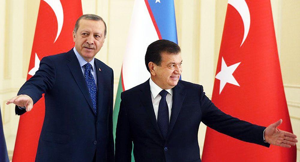 Анкара заинтересована в энергоресурсах Узбекистана – турецкий эксперт
