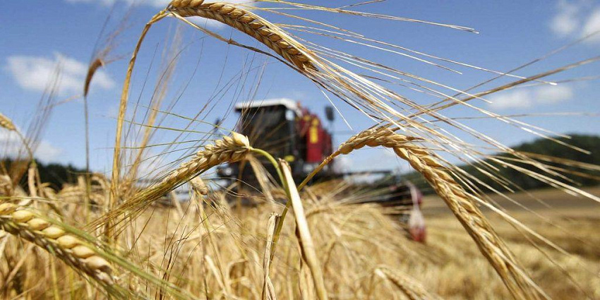 Сельскохозяйственному рынку ЕАЭС требуется больше регулирования – эксперты
